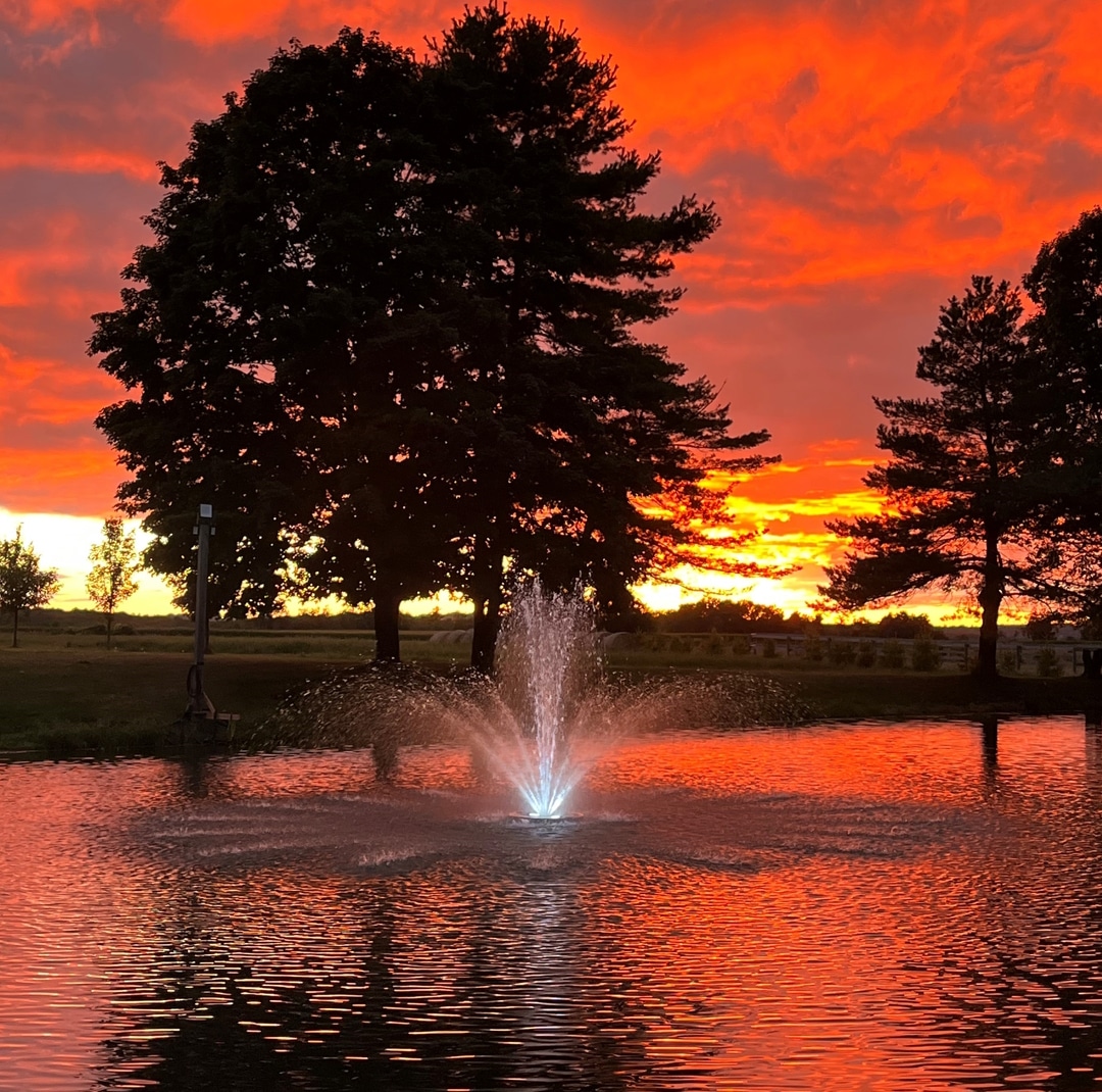Artemis Nozzle Fountain FB picture - Pond Perfections Fountain with illuminated lights at sunset reflecting vibrant colors on the water.
