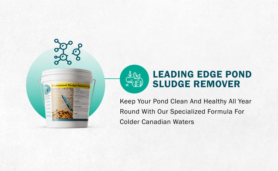 Module 3 - Pond Perfections