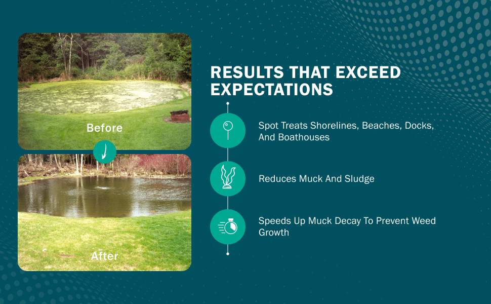 Module 4 - Pond Perfections