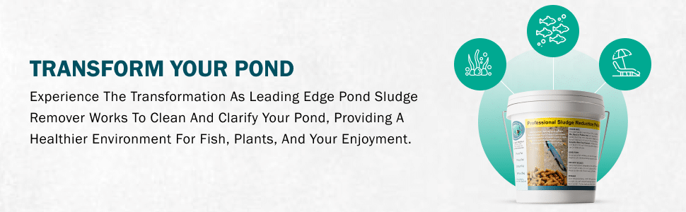 Module 5 - Pond Perfections