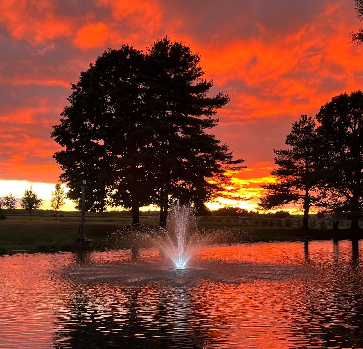 Olympus Fountain Artemis Nozzle - Pond Perfections Olympus Fountain with Artemis Nozzle in a pond during a vibrant sunset.