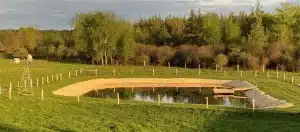 8-tools-methods - Pond Perfections A well-designed pond surrounded by greenery, showcasing considerations for building a sustainable water feature.