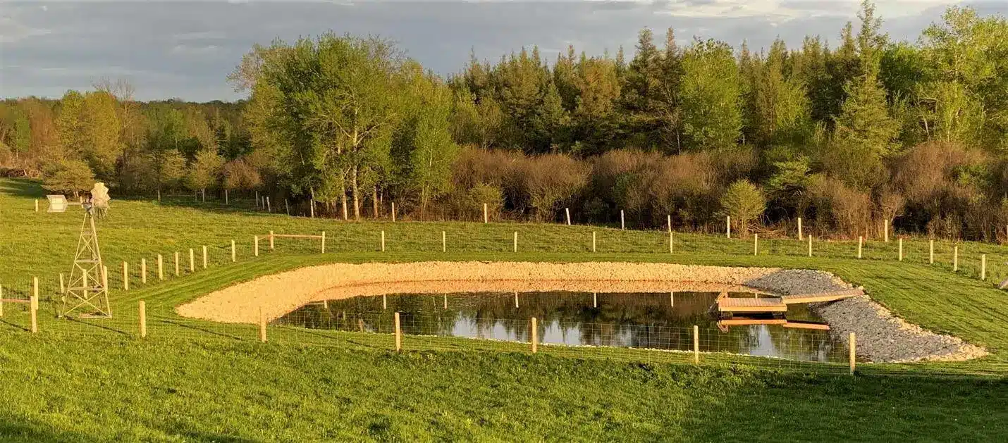 8-tools-methods - Pond Perfections A well-designed pond surrounded by greenery, showcasing considerations for building a sustainable water feature.