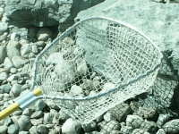 Custom aquatic weed net designed for effective weed and debris removal.