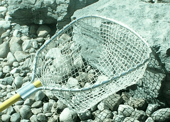 004-weednet.png - Pond Perfections Custom aquatic weed net designed for effective weed and debris removal.