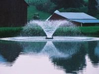 Enhance your pond with the F1000F Bearon Aquatics aerating fountain, delivering a stunning symmetrical water display and improving aeration and water quality