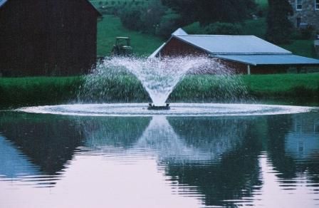1_HP_Fountain_029.jpeg - Pond Perfections Enhance your pond with the F1000F Bearon Aquatics aerating fountain, delivering a stunning symmetrical water display and improving aeration and water quality
