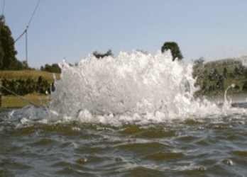 202-F250.png - Pond Perfections F250 Surface Aerator Detach creating powerful water splashes for enhanced pond aeration.