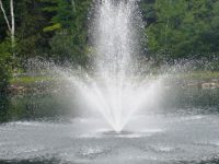 Olympus fountain with Artemis nozzle creating a decorative water display.