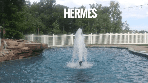 Hermes-SP-Fountain.png - Pond Perfections Hermes shallow water fountain producing a dynamic spray pattern in a pond."