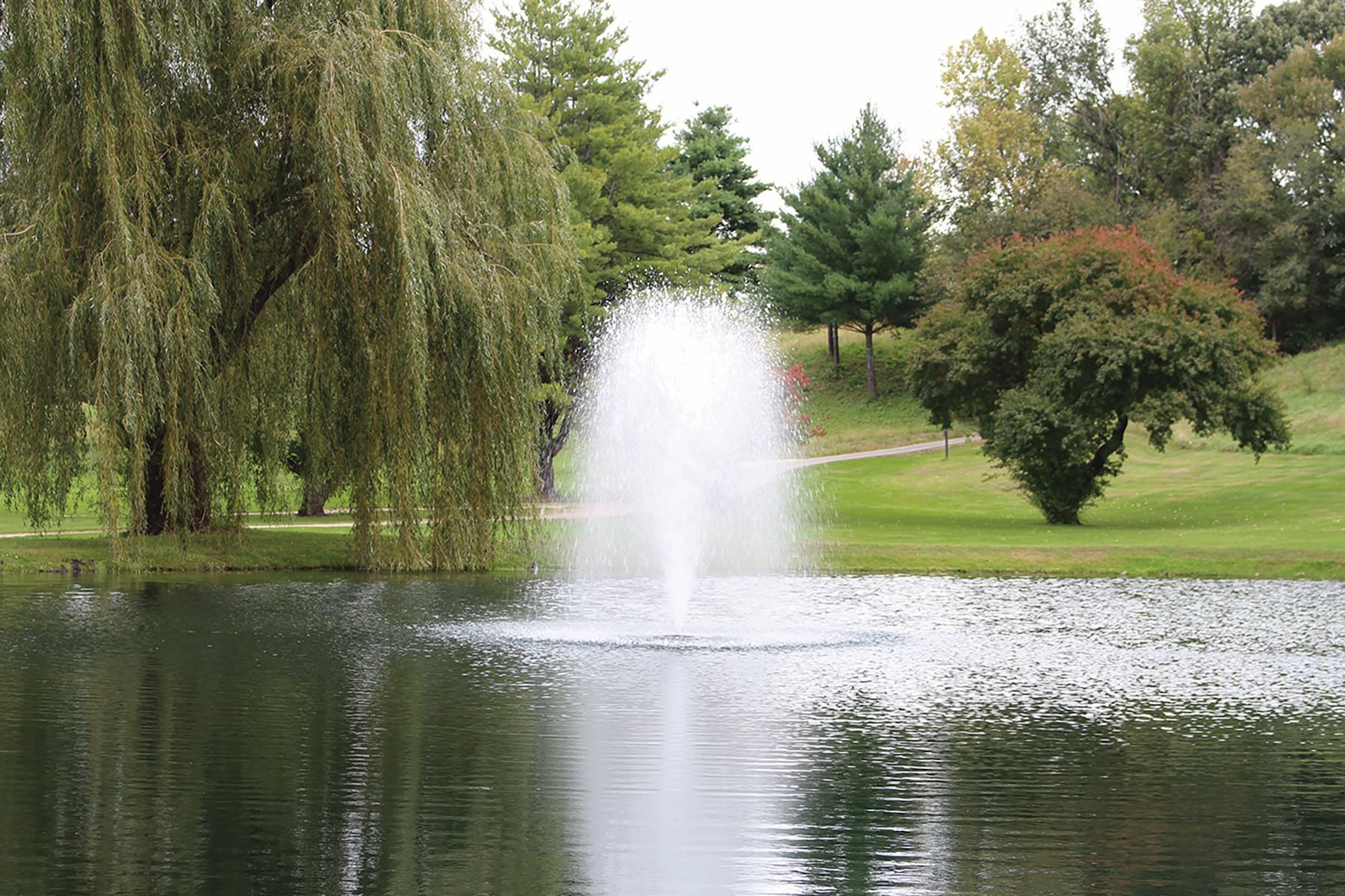 Kasco-4400-Birch - Pond Perfections Kasco 4400 Birch 1 HP J Series Fountain creating a vibrant water display in a serene pond.