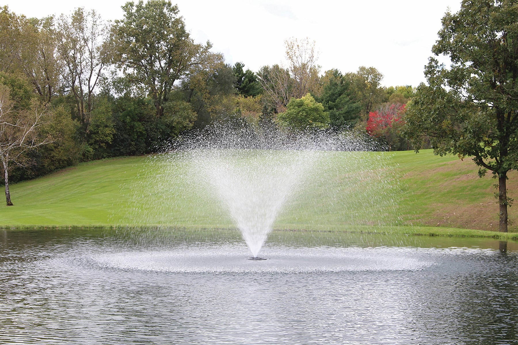 Kasco-4400-Willow - Pond Perfections Kasco 4400 Willow 1 HP J Series Fountain creating a decorative spray pattern in a pond.