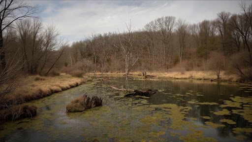 How to Clear Murky Pond Water Naturally: Effective and Eco-Friendly Solutions - Pond Perfections How to Clear Murky Pond Water Naturally: Effective and Eco-Friendly Solutions